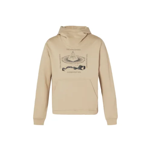 Nike Khaki Мужские Свитшоты