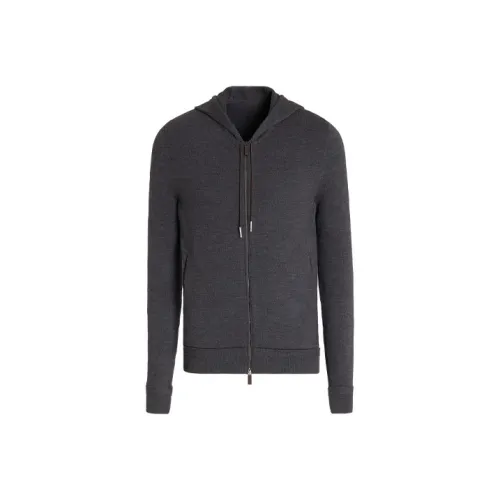 Ermenegildo Zegna Серый Мужской Свитшот