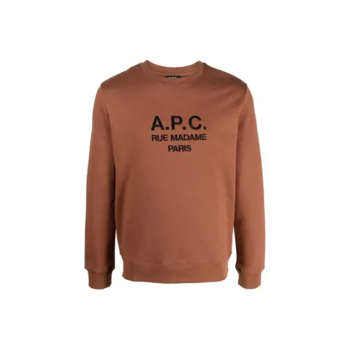 A.P.C. Joint Paragraph Коричневый Мужской Свитшот