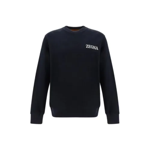 Ermenegildo Zegna Черные Мужские Толстовки