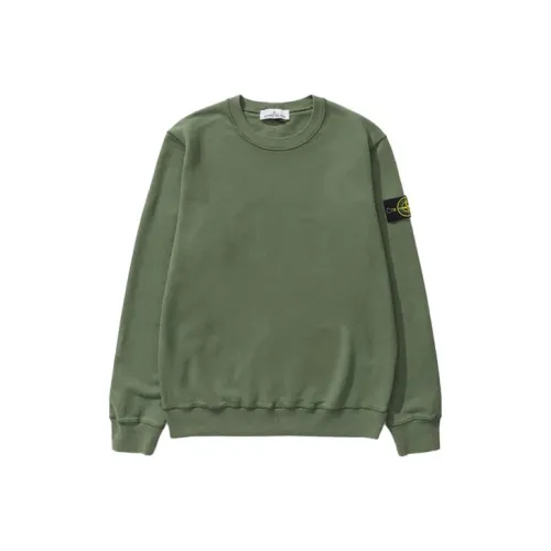 STONE ISLAND FW21 Свитшот Унисекс Шалфейно-зеленый