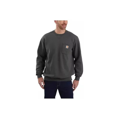 Carhartt Gray Men's Sweatshirts Кархартт Серый Мужские Толстовки