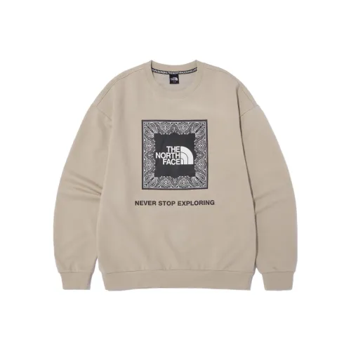 The North Face Кофе Мужские Толстовки