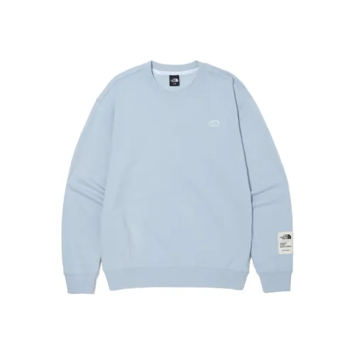 The North Face Светло-Синие Мужские Толстовки