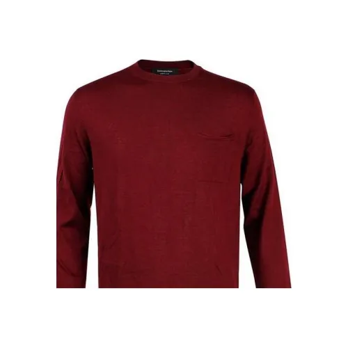 Ermenegildo Zegna Мужские Свитшоты Бордового Цвета