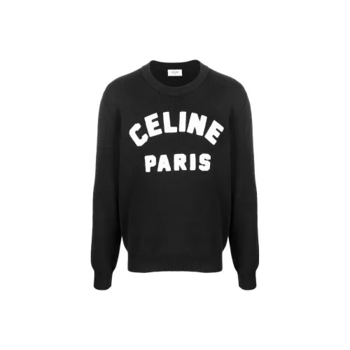 Celine Черные Мужские Свитшоты