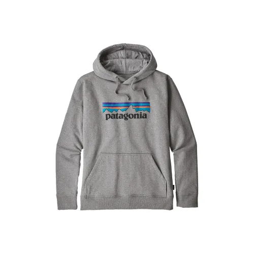 Patagonia Uprisal Мужские Свитшоты
