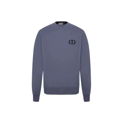 DIOR Толстовка Мужская Фиолетовая Синяя