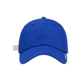 Синий Кляйна