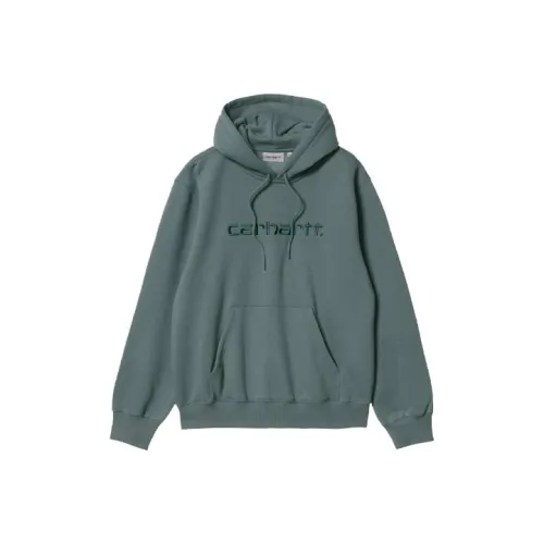 Carhartt WIP Зеленый Мужской Свитшот