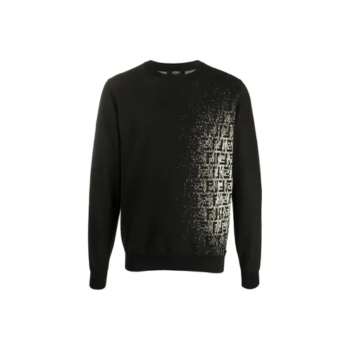 Fendi Черные Мужские Свитшоты