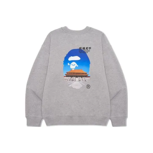 A BATHING APE Bape Ape World Series SS23 Толстовка Мужской