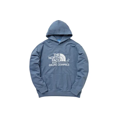 THE NORTH FACE Синий Мужской Свитшот