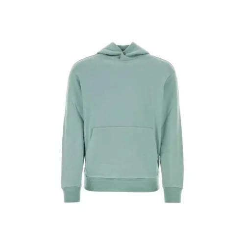 Ermenegildo Zegna Зеленый Мужской Свитшот