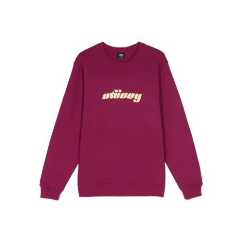 Stussy Мужские Свитшоты