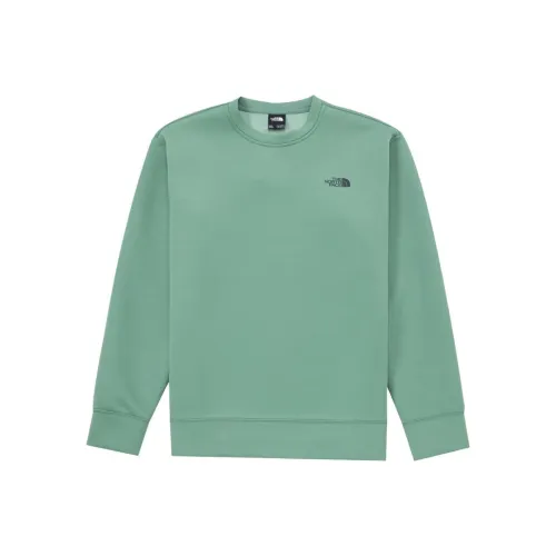 THE NORTH FACE Зеленый Мужской Свитшот