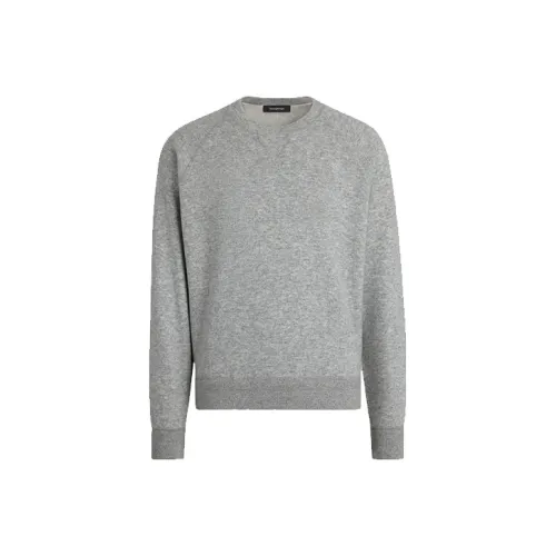 Ermenegildo Zegna Серый Мужской Свитшот