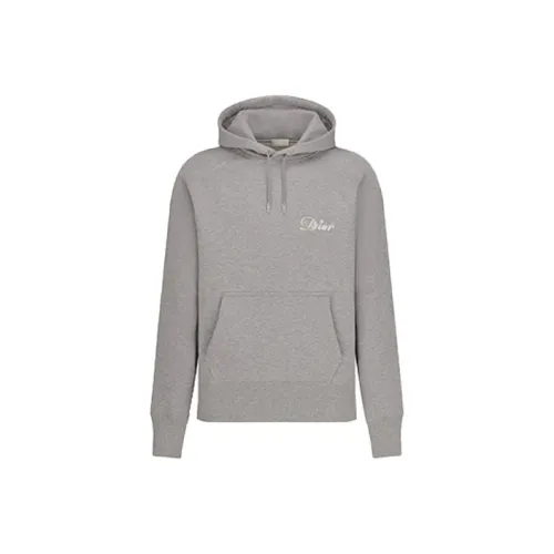 DIOR Quarterly New Products Серый Мужской Свитшот