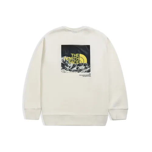 THE NORTH FACE Толстовка Осенняя Унисекс Белая