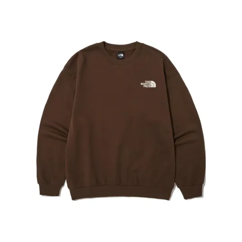 THE NORTH FACE Коричневый Мужской Свитшот