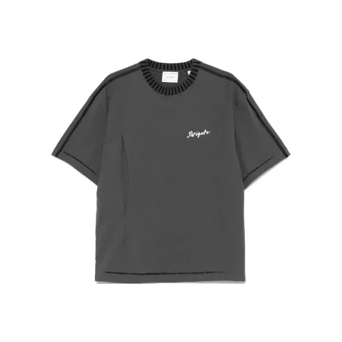 Axel Arigato T-Shirt Мужской Серый