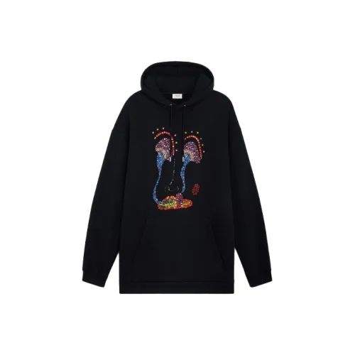 Celine Черные Мужские Свитшоты