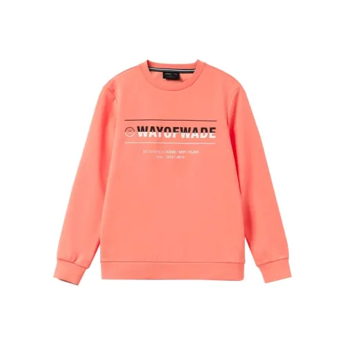 LINING Wade Collection Толстовка Мужской Пустыня Розовый