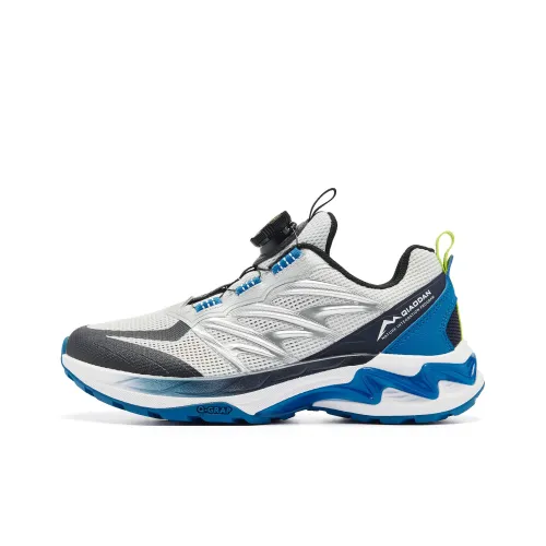 QIAODAN Большая Медведица 3,0 Противоскользящий Устойчивый к износу Низкий Топ Детская Беговая Обувь Серый Серебряный