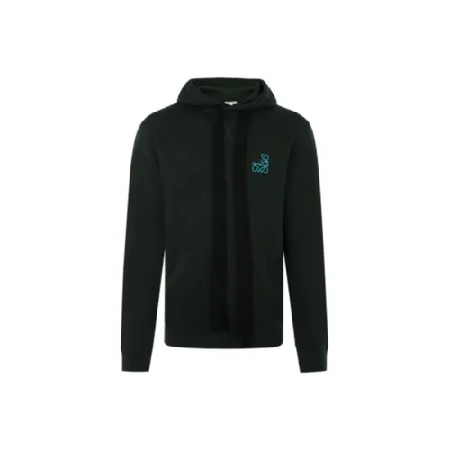 LOEWE Зеленый Мужской Свитшот