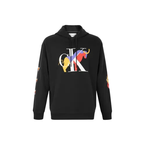 CALVIN KLEIN SS21 Толстовка Мужской Черный