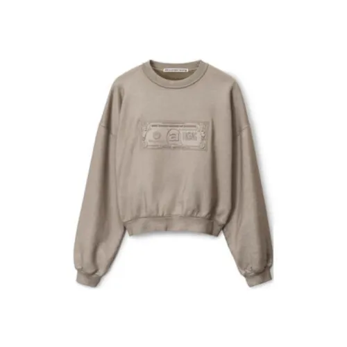 Alexander Wang Свитшот Унисекс Металлик Серый