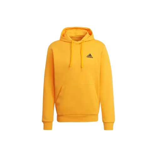 Adidas Gold Мужские Толстовки