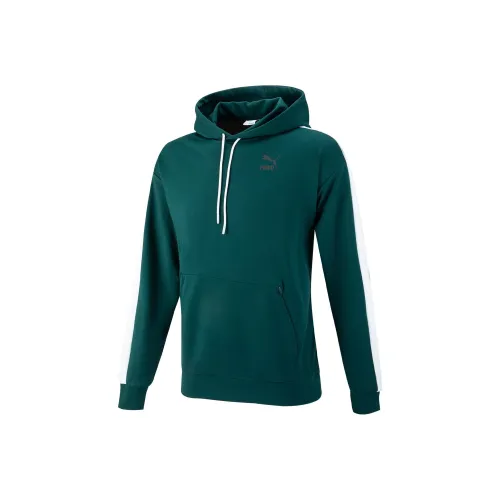 PUMA Сосновое дерево Зеленый Мужской Свитшот