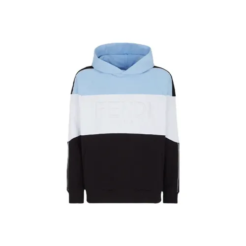 Fendi Синий Мужской Свитшот