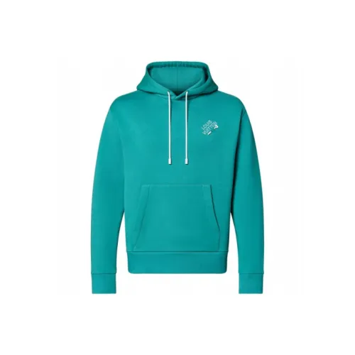 LOUIS VUITTON Свитшот Мужской Зеленый