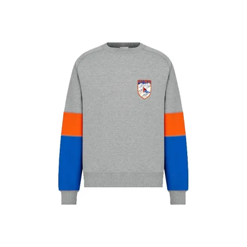 DIOR Quarterly New Products Серый Мужской Свитшот