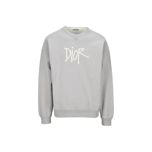 DIOR Quarterly New Products Серый Мужской Свитшот