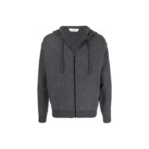 Ermenegildo Zegna Серый Мужской Свитшот