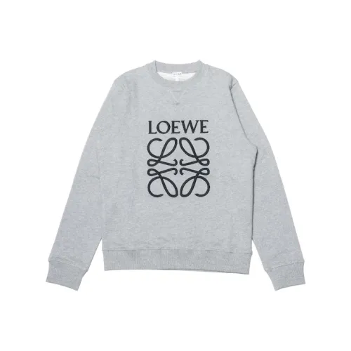 LOEWE Совместное издание Серые Мужские Толстовки