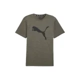 Темно-оливковый зеленый