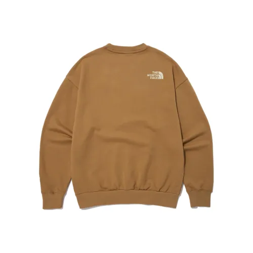 THE NORTH FACE Коричневый Мужской Свитшот