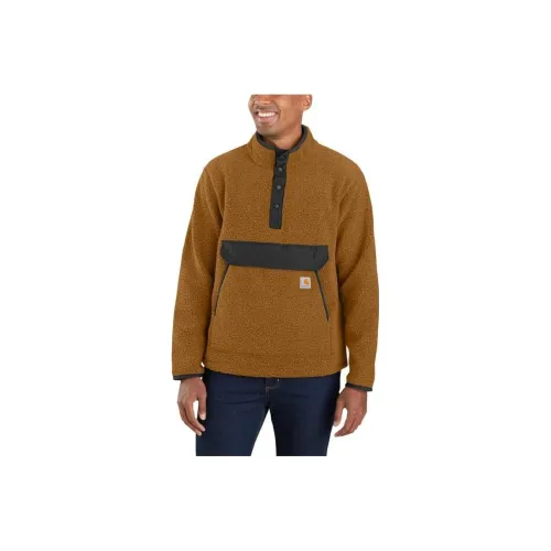 Carhartt Мужские Свитшоты