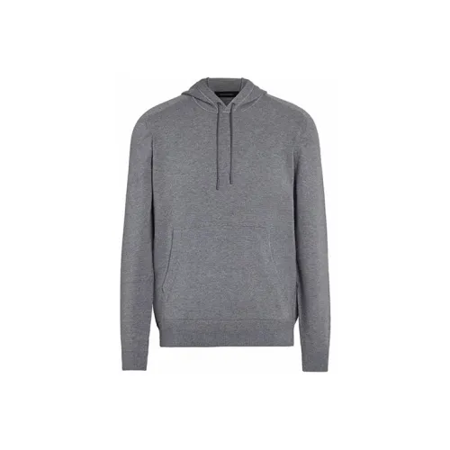 Ermenegildo Zegna Серый Мужской Свитшот