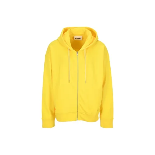 JIL SANDER Желтые Мужские Свитшоты