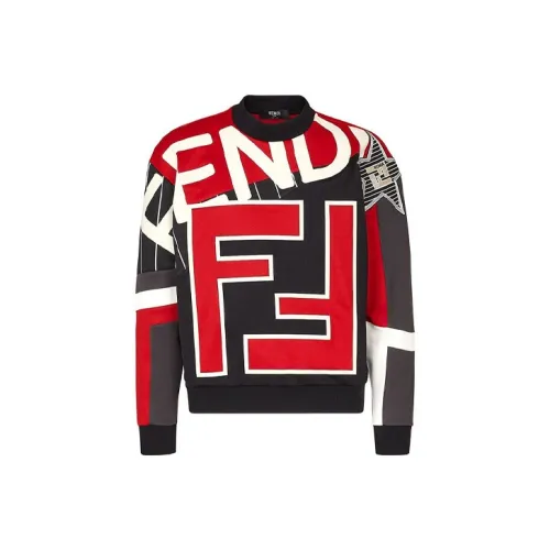 Fendi Многоцветные Мужские Свитшоты