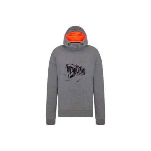 DIOR Серый Мужской Свитшот