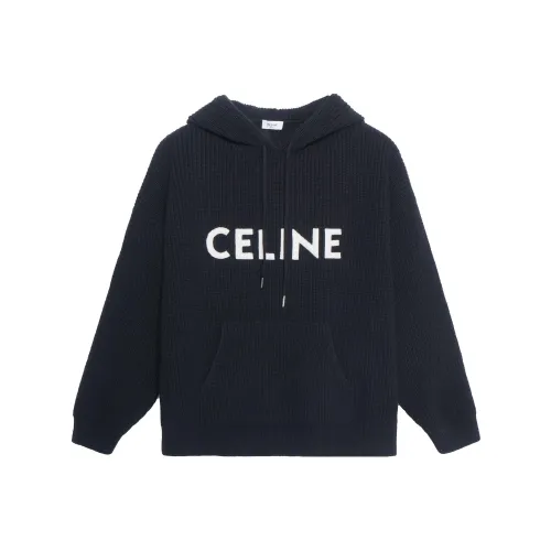 Celine Черные Мужские Свитшоты