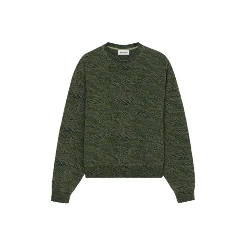 KENZO FW21 Толстовка Мужской Зеленый