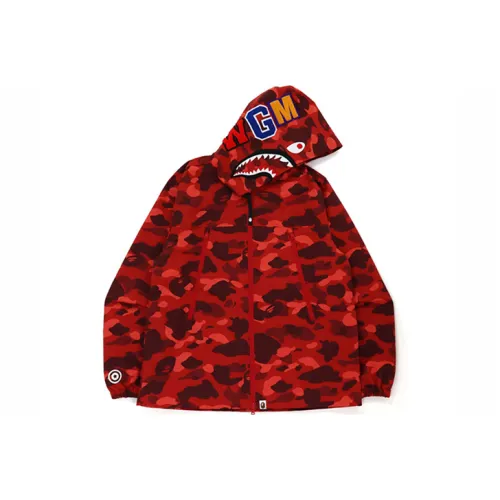 A BATHING APE FW21 Толстовка Мужской