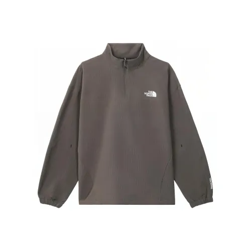 THE NORTH FACE Коричневый Мужской Свитшот